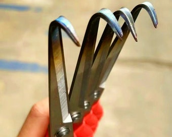 Pruner U-Curved Angled Annealed Tips Trimmer Shears Scissors Specialty Tool Dragon Fruit Bonsai