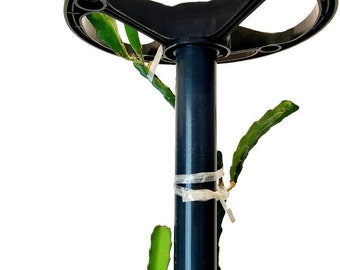 Dragon Fruit Trellis Heavy Duty UPVC Vertical Plant Support Stand – Garden Climber Tower