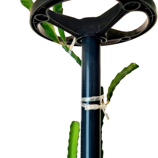 DRAGON TOWER Dragon Fruit Trellis for Potted Ground Plant Support Stand Extendable Garden PVC