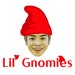 Lil Gnomies