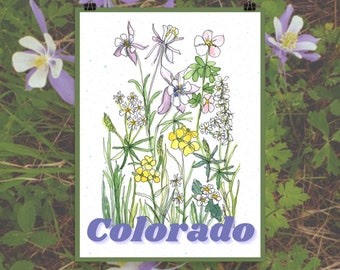 Colorado Wildflowers Poster Print 12x16 | Wall Art Souvenir - Floral Painting - Unique Ink and Watercolor Boho Artwork