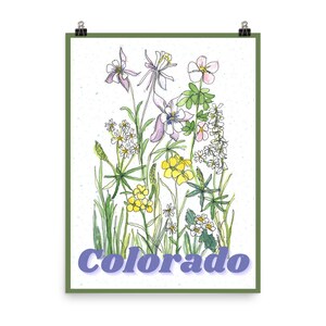 Colorado Wildflowers Poster Print 18x24 - Wall Art Souvenir - Floral Painting - Unique Ink and Watercolor Boho Artwork