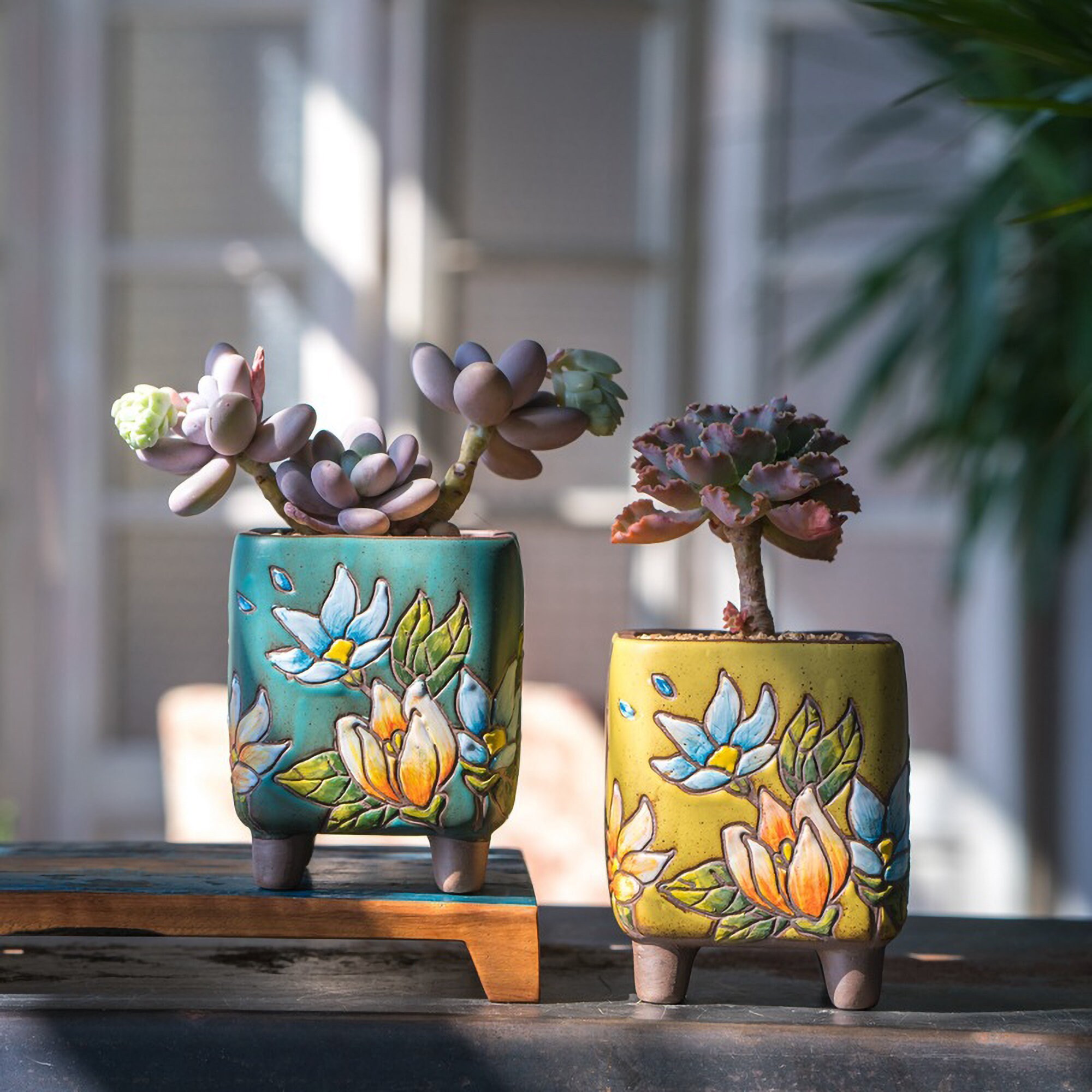 Korean Succulent Pots Ceramic Planter Pot Pot With Drainage Etsy