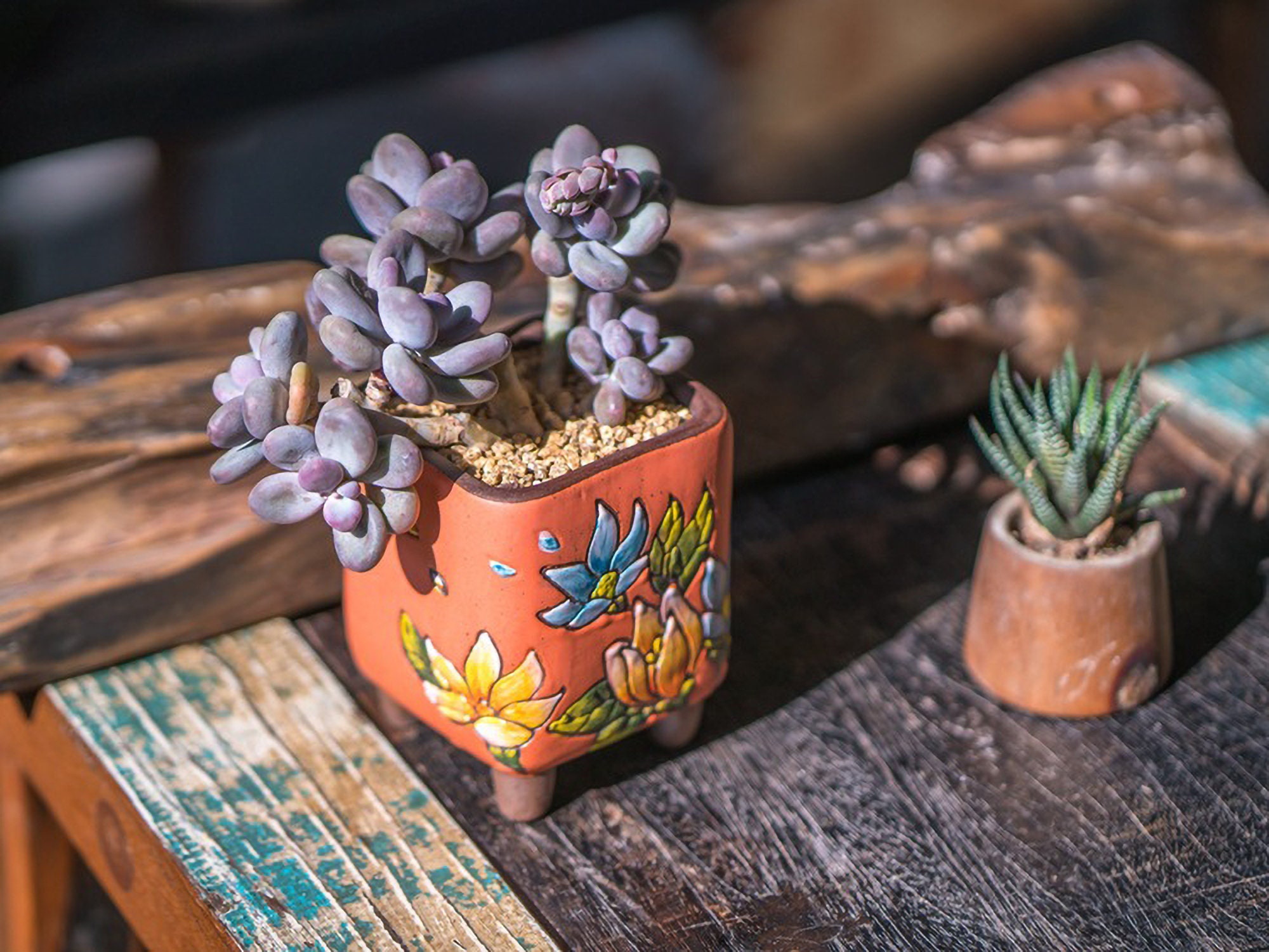 Korean Succulent Pots Ceramic Planter Pot Pot With Drainage Etsy