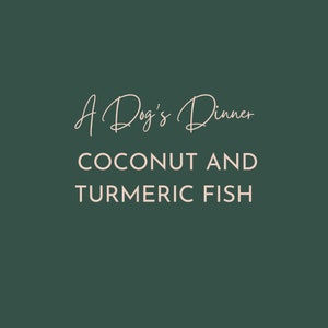 Coconut and Turmeric Fish