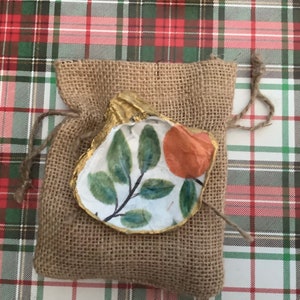 Oyster shell - Citrus Designs: Capturing the Essence of Sunshine