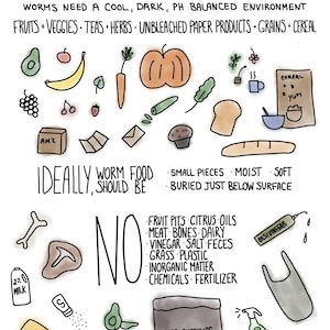 Worm Composting Visual Guide