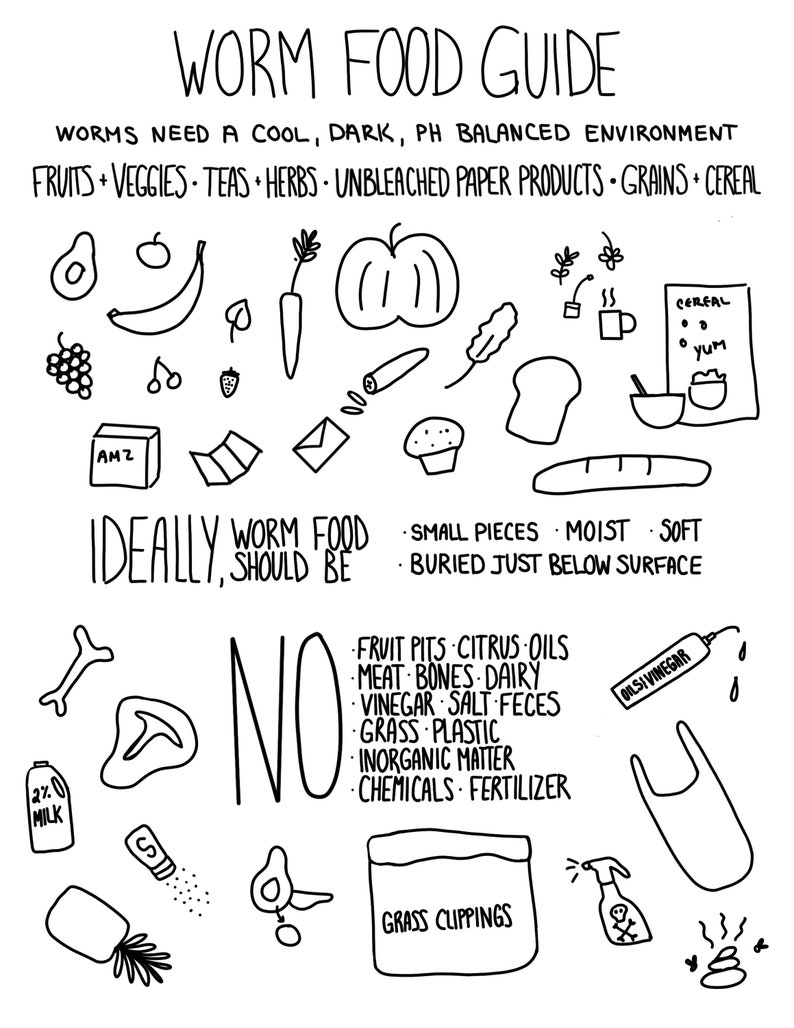 Worm Composting Visual Guide - Etsy