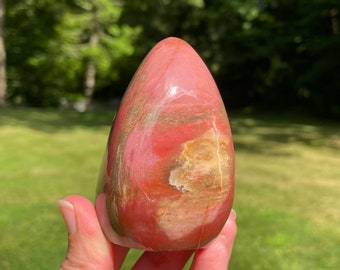 Petrified Wood Crystal, Petrified Wood Freeform, Fossilized Wood, Fossilized Wood Crystal, Fossilized Wood Stone, Agatized Wood Crystal