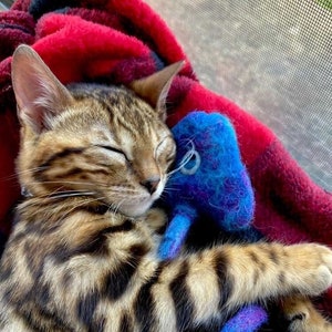 Kitten suckling toy store