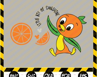 Download The Orange Bird Svg Etsy