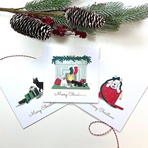 Onze gekke huisdieren bij kerstkaartenset