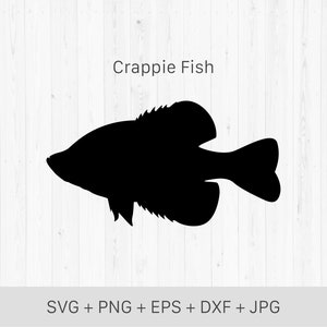 Crappie Fish SVG, Crappie vis Instant Download SVG, PNG, dxf, jpg digitale download