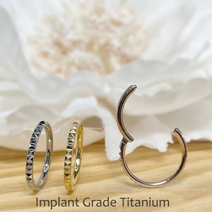 Implant Grade Titanium 16ga Hinge Hoop Segment Rings Cartilage Pyramid Cut Nose Septum Seamless Hinged Clicker Ear Piercing
