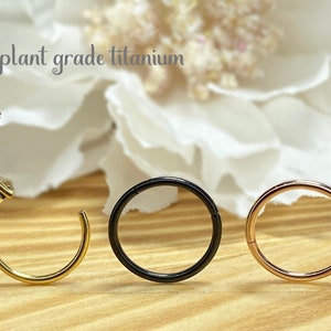 16ga 18ga 20ga Implant Grade Titanium Hinge Hoop Segment Rings Cartilage Hoop Nose Septum Seamless Hinged Clicker Helix Earring Hoop