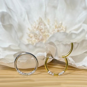16G Hinged Segment Ring With CZ In Front • 316L Surgical Steel Hoop • Sold as Single