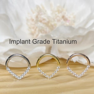 16G 8mm Implant Grade Titanium Hinge Hoop Segment Ring with CZ Line Chevron Nose Septum Clicker image 1