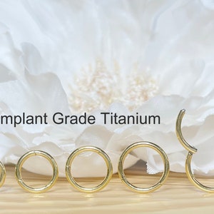 20G 18G 16G Implant Grade Titanium Gold Hinged Segment Hoop Ring • Cartilage Hoop Nose Septum Helix