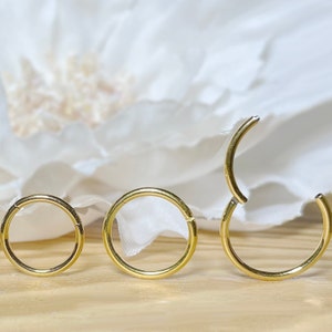 316L Gold Surgical Steel Hinged Segment Hoop Ring • 20G 18G 16G 14G • Cartilage Hoop Nose Septum Helix