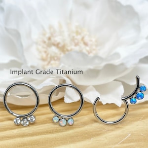 16ga Implant Grade Titanium Hinge Hoop Segment Rings with 3 Bezel Set CZ Cartilage Nose Septum Seamless Hinged Clicker Helix Earring Hoop