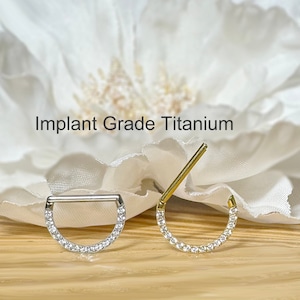 16G Implant Grade Titanium D-Shaped Hinged Segment Hoop with Front CZ • Sold as Single