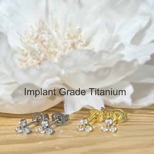 Pair of Implant Grade Titanium Trinity CZ Stud Earring