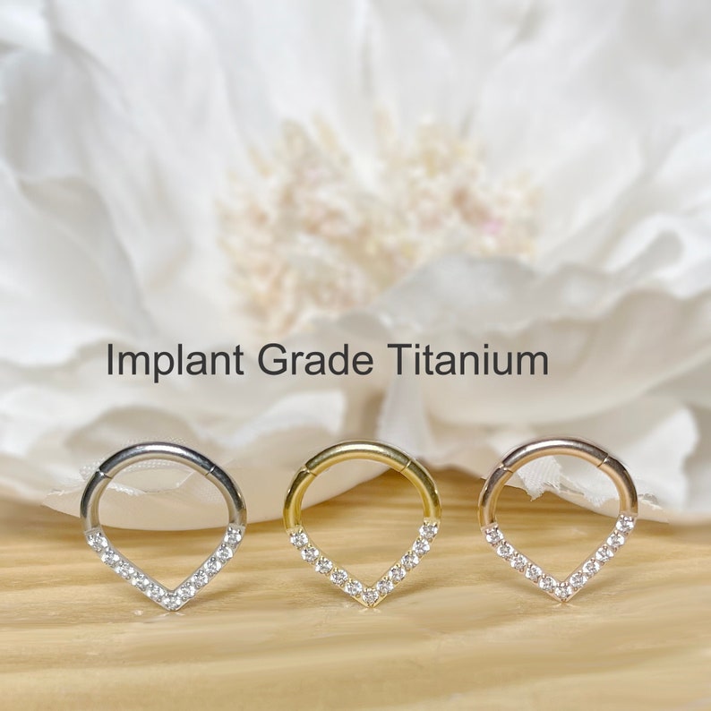 16G 8mm Implant Grade Titanium Hinge Hoop Segment Ring with CZ Line Chevron Nose Septum Clicker image 1