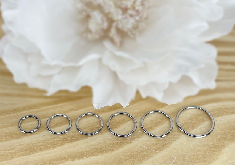 Implant Grade Titanium Hinge Hoop Segment Rings Cartilage Hoop Nose Septum Seamless Hinged Clicker Helix Earring Hoop 