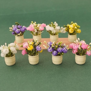 May include: Ten miniature potted plants with various coloured flowers. The flowers are white, yellow, purple, pink, and light blue. The pots are all white.