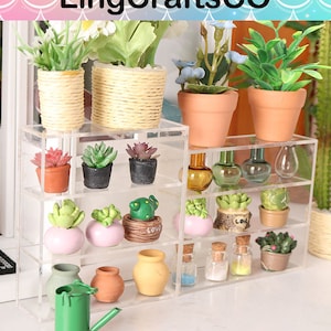 May include: A clear acrylic shelf unit with four shelves, displaying a variety of miniature potted plants, succulents, and cacti. The shelves are decorated with small glass bottles and jars, and a green watering can.