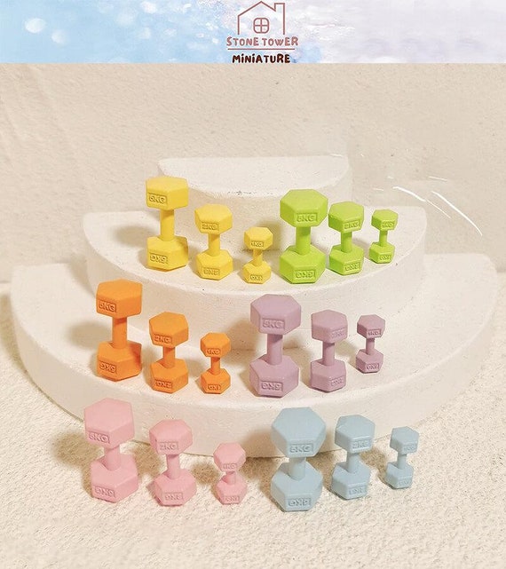 Dollhouse Dumbbell Model,Colorful Dollhouse Sports Equipment,Dollhouse Home Decoration
