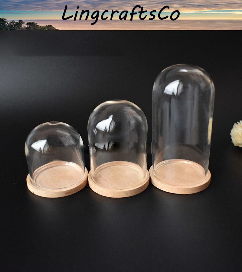 Small Plastic Display Domes - National Artcraft