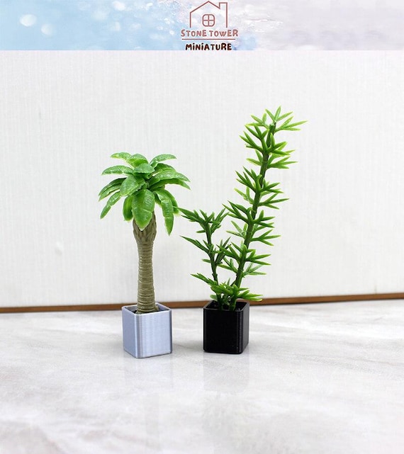 bantel's sensation snake plant latin name Sansevieria trifasciata 'Bantel's Sensation'