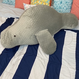 Big Boi: Teeny! The Manatee Stuffed or Unstuffed