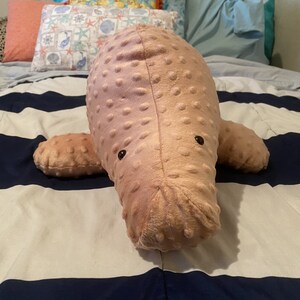 May include: A pink plush manatee toy with black eyes. The toy is lying on a striped blue and white blanket.