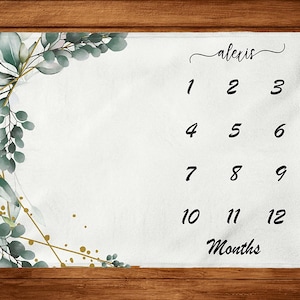 Baby monatlich Meilenstein Decke, benutzerdefinierte Decke, monatlicher Wachstums-Tracker, personalisierte Jungen Babydecke, Babypartygeschenk, neues Babygeschenk