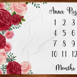 Milestone Blanket for Girl, Floral Baby Month Blanket, Baby Growth Tracker, Baby Shower Gift, New Mom Gift