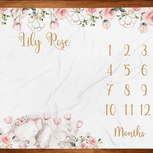 Elephant Milestone Blanket, Girl Baby Month Blanket, Baby Girl Milestone Blanket Track Growth Keepsake Baby Shower Gift Roses Floral Blanket