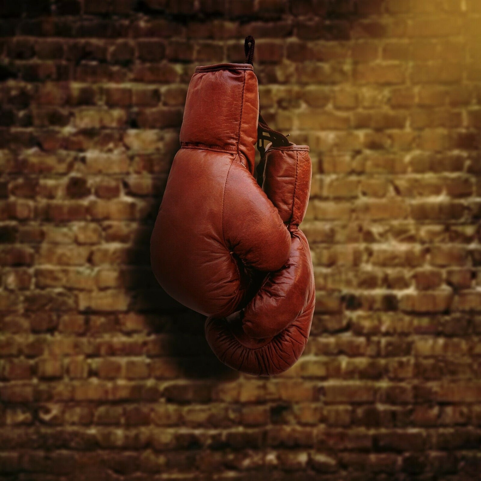 Leather Punching Bag Vintage Punching Bag with Boxing Gloves Etsy