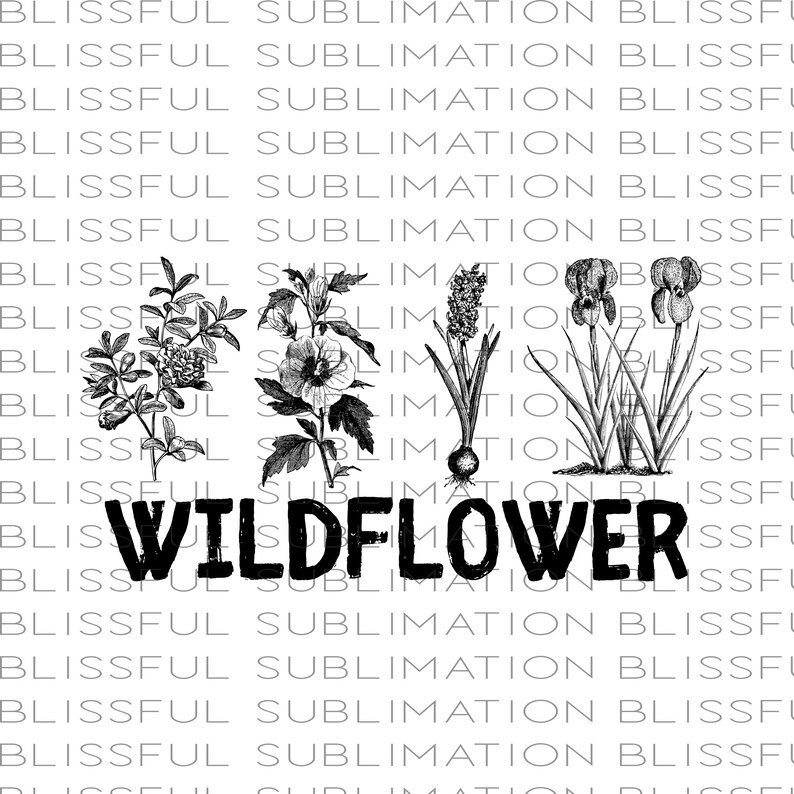 Pu&ograve; includere: Illustrazione in bianco e nero di fiori selvatici, tra cui un giacinto, un iris e altre piante fiorite. Il testo "WILDFLOWER" &egrave; stampato in nero sotto l'illustrazione.