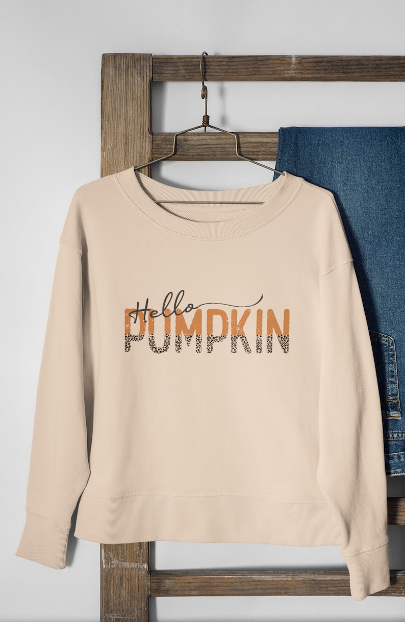 May include: A beige sweatshirt with the text "Hello Pumpkin" in orange and black letters with a leopard print design.