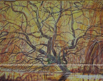 WILLOW TREE   quality print forma acrylic painting