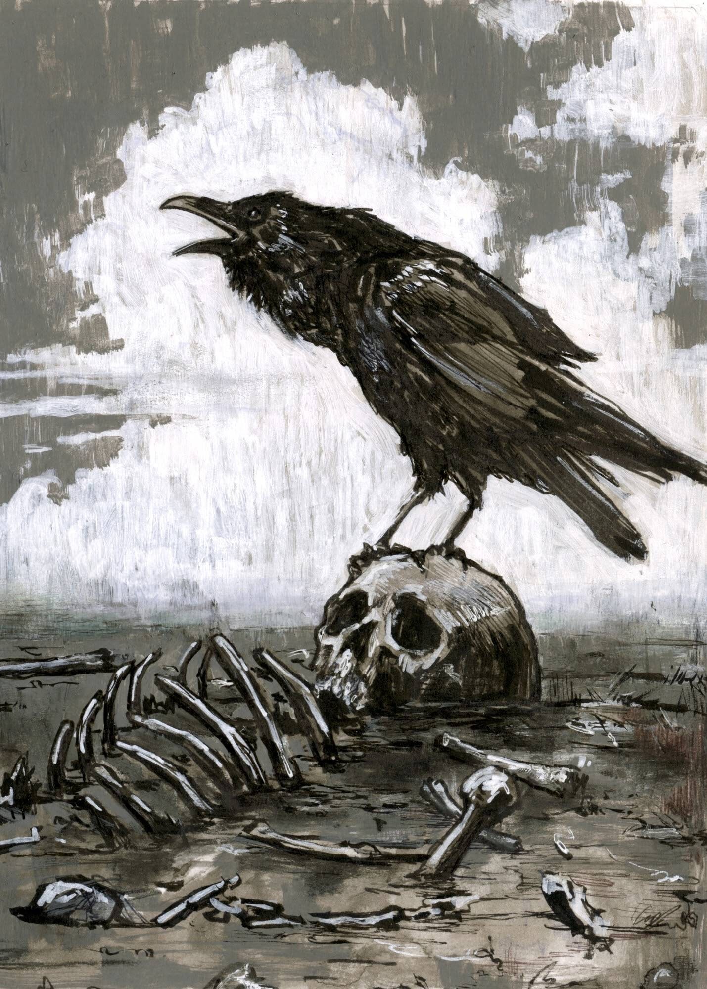 Raven and Skull original illustration Etsy