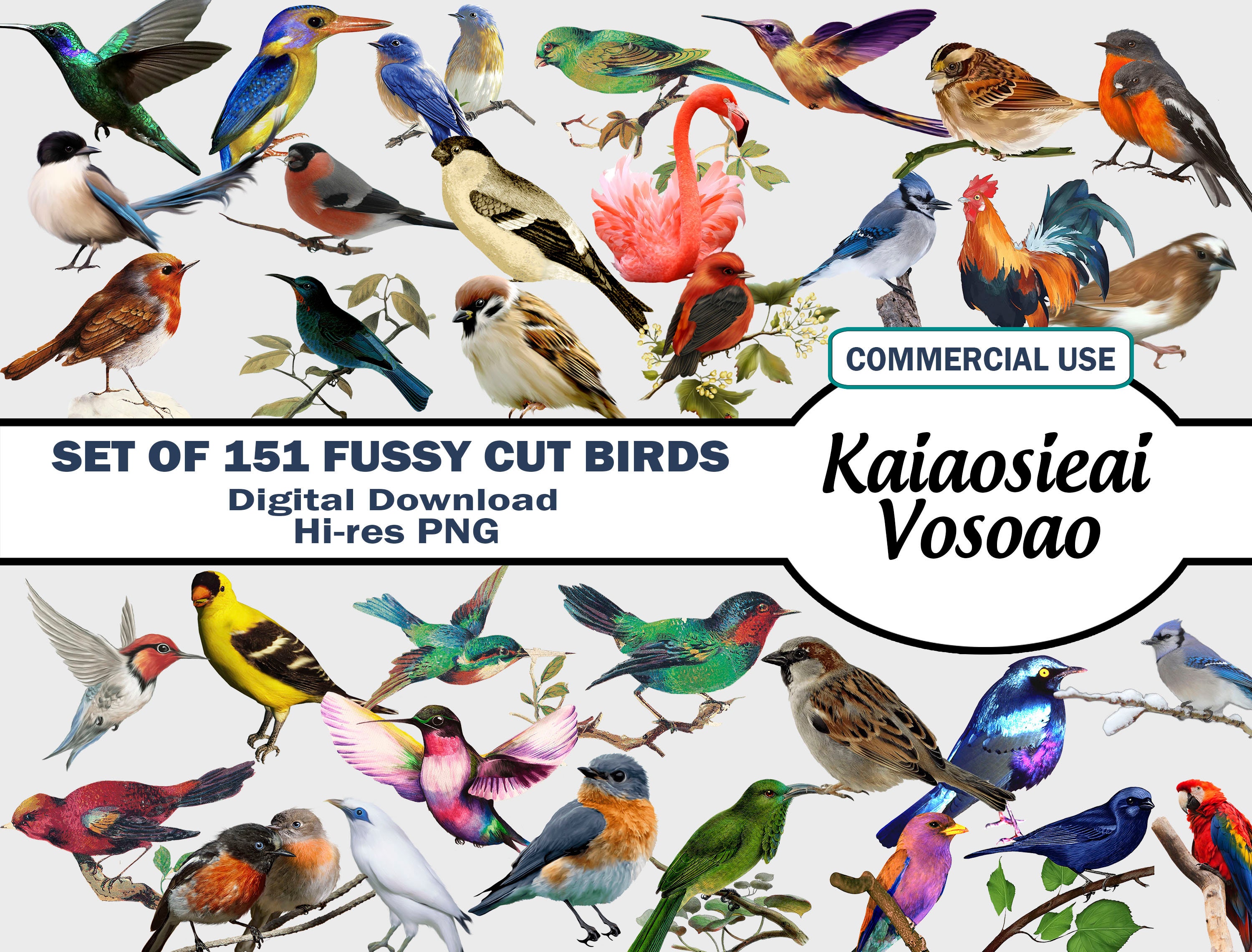 Bundle 151 Fussy Cut Birds Pngbirds PNG Bird Animals - Etsy Bundle 151 Fussy Cut Birds Pngbirds PNG Bird Animals - Etsy