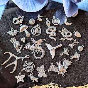 25 Charms Mat, Charm Casting Kit Altar Tools, Divination, Fairy Magic, Moon Phase, Third Eye, Metal Animal Charms Goddess Provisions image 6