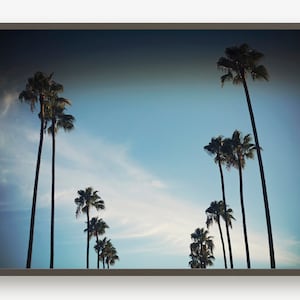 California Palm Trees, Wall Print, Palm Tree Wall Art, Wall Art, Palm Tree Decor, Palm Tree Photo, California Art, California Decor