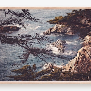 Fine Art Big Sur Ocean Print - Coastal Trees Ocean Waves Print Landscape Fine Art Photography Home Wall Decor