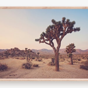 Joshua Tree Print, Desert Photo, Joshua Tree National Park, Desert Print, Joshua Tree Photography, Pastel, Desert Landscape, Sunset Photo