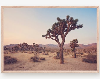Joshua Tree National Park Print, Desert Landscape Photography