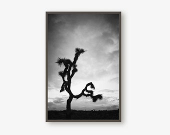 Cactus in Joshua Tree, Black And White, Wall Print, Desert Print, Desert Art, Wall Art, Cactus Art, Cactus Print, California Art, Wall Art